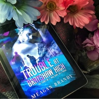 *Review* Trouble at Brayshaw High by Meagan Brandy 👊🏼